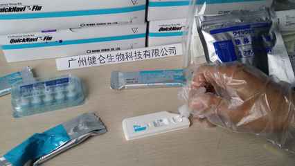甲型流感病毒核酸与抗原检测试剂盒的关键作用与未来展望